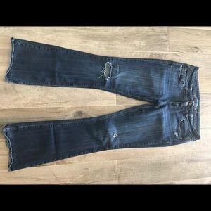 American Eagle Jeans: Artist 10 Long
